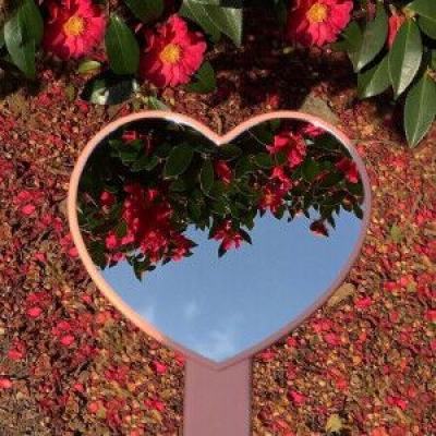 博鱼APP综合体育截图