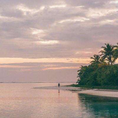 博鱼APP综合体育